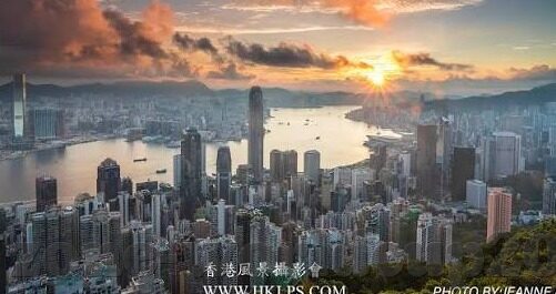 足球蜘蛛比分-当足球遇上蜘蛛，一场关于比分与数据的奇幻之旅